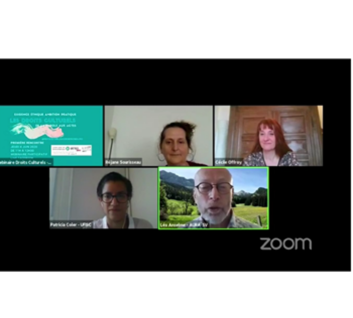 Visuel du webinaire sur les droits culturels