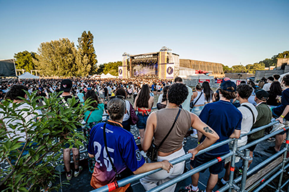 Visuel du festival Woodstower
